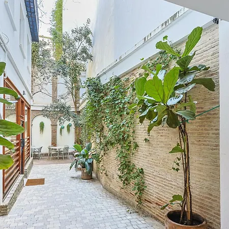 Daire El Pasaje De Sierpes By Shs